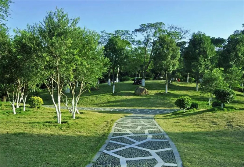 陜西苗木基地在施工條件惡化的情況下施工發(fā)生流砂，會(huì)引起塌方
