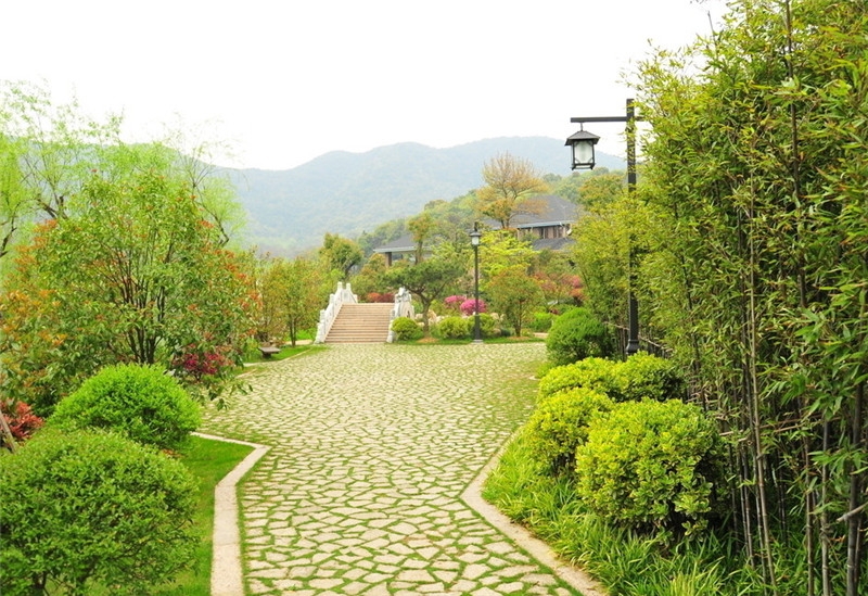 施工過(guò)程中泥球破損，導(dǎo)致須根受損。陜西苗木基地來(lái)救助。